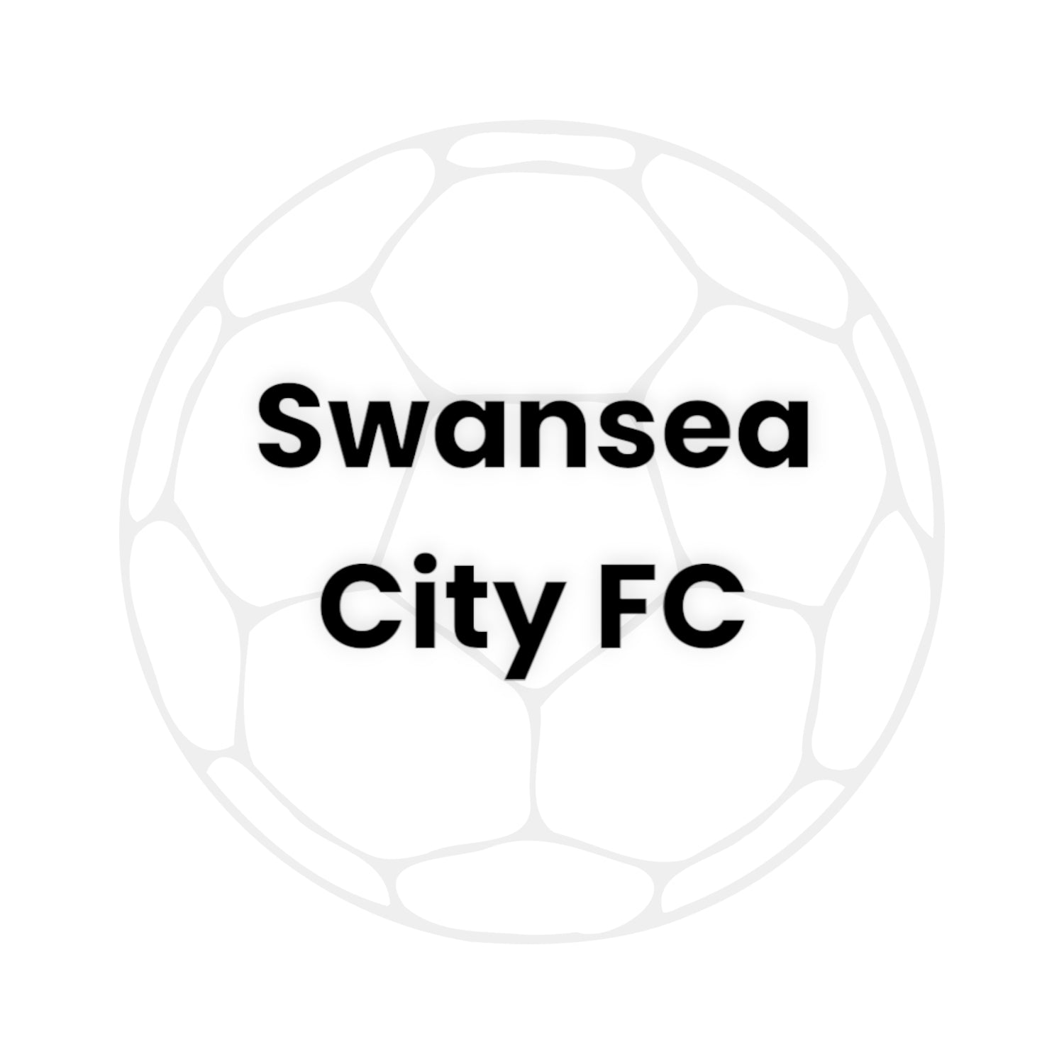 Swansea City FC