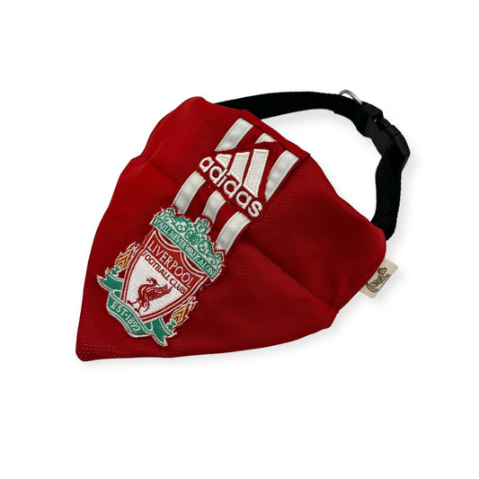 Liverpool dog bandana