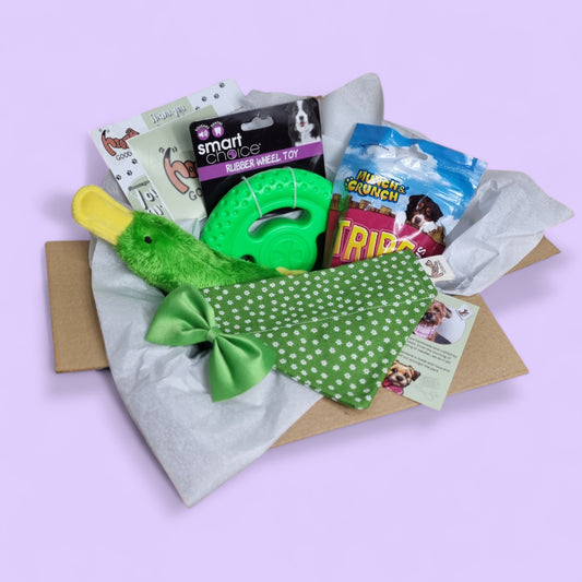 dog mystery box, with a green dog bandana, dog treats, fun dog toys and a dog bow tie